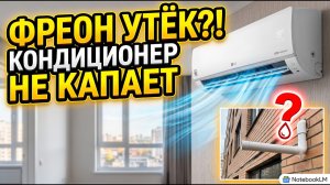 Кондиционер дует холодным, но не капает конденсат (вода): ушел фреон? Разбираем миф | Fresh Air Life