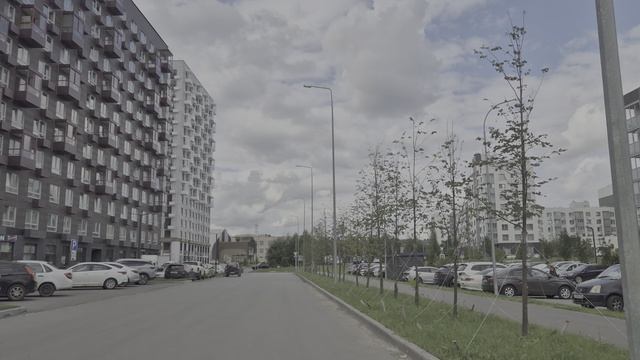 анаса тазетдинова