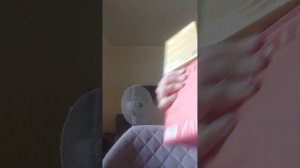 1000018494.mp4