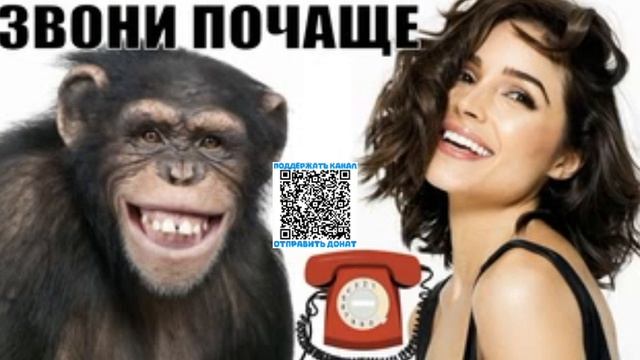 Глупый мошенник опять остался без зарплаты