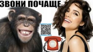 Глупый мошенник опять остался без зарплаты