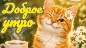 Доброе летнее утро. Красивая музыкальная открытка.