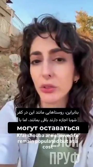 Журналистка Нада Хомси: 
Израиль позволил нескольким суннитским, христианским и друзским деревням на