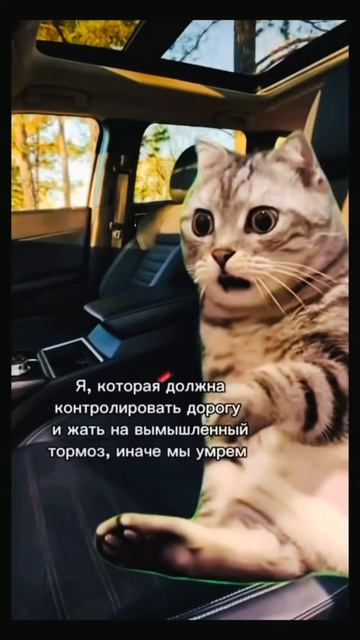 😄