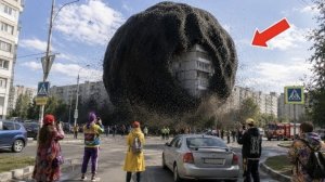 Это реально было снято на камеру? Самые невероятные моменты. Лучшая подборка