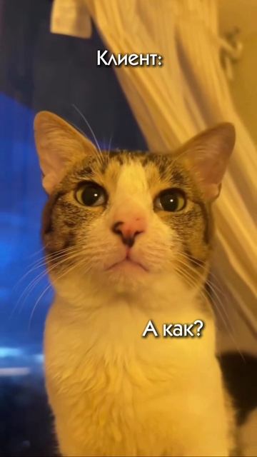 Узнали себя?