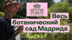 Прогулка по Королевскому ботаническому саду Мадрида. Ч.1  |  Alex Las Plantas