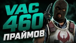 Забанили всю ферму. Разговор, итоги проекта. Что буду делать дальше