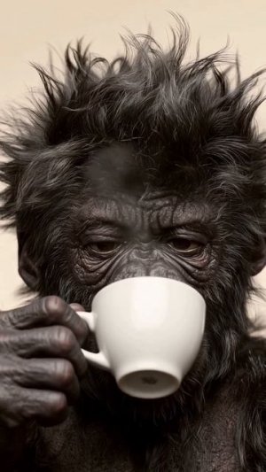 Доброе утро☕️