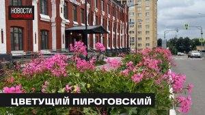 Масштабное озеленение микрорайона Пироговский прошло в Мытищах
