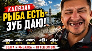 Рыба есть - зуб даю! Волга, Калязин август 2026