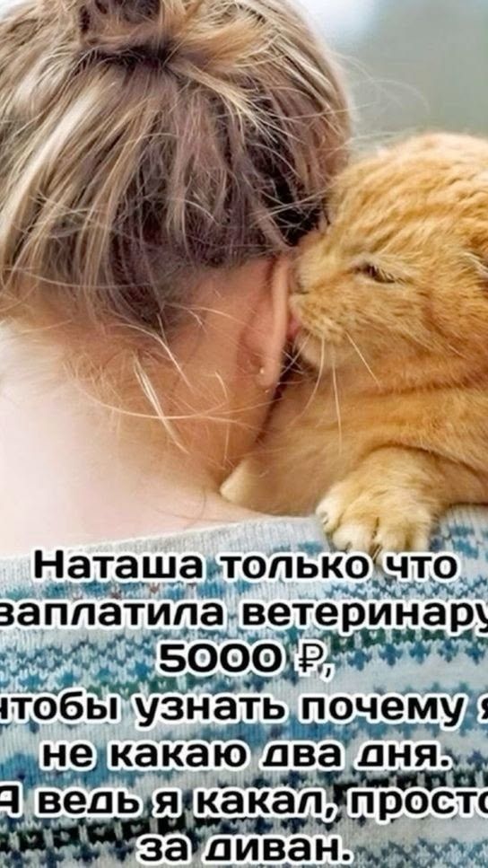 Кошачий «поцелуй»