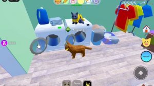 первое видео про Roblox!
Игра с котятами