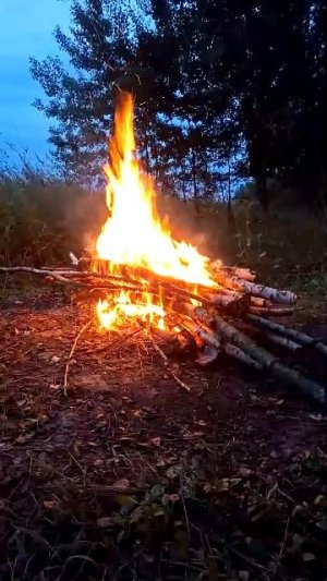 Костер. РЕЛАКС ВИДЕО