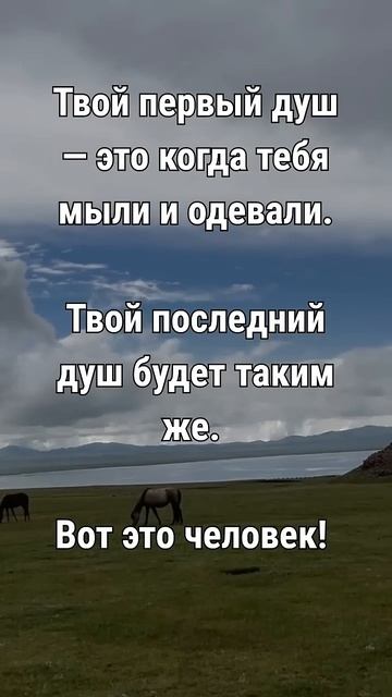📹 Ты пришёл в мир голым. Ты уйдёшь таким же. → 👤 Между Строк →