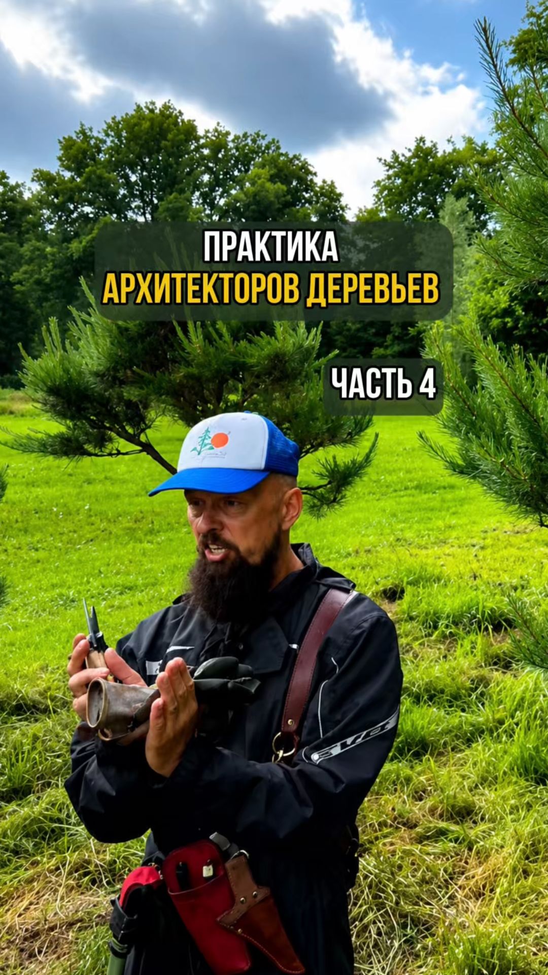 Практика архитекторов деревьев. Часть 4