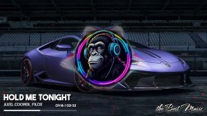 DANCE MONKEY