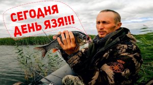 Рыбалка на язя | поплавочная удочка | большое озеро