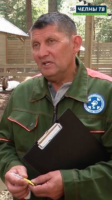 Зачем альпакам и козам устанавливают микрочипы