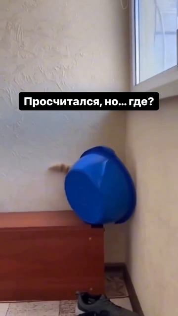 Просчет инженеру стоил свободы!