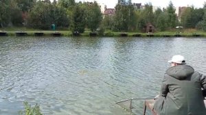 Светлые Горы Карп4 14.08.2026г.