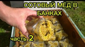 сотовый мёд в банках.