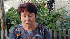 Вечер.13.08.26.Донецк.