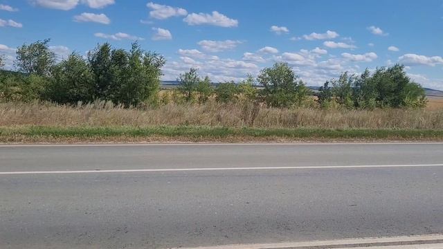 гипюровая блузка с вайлдберриз ,мои покупки.дача