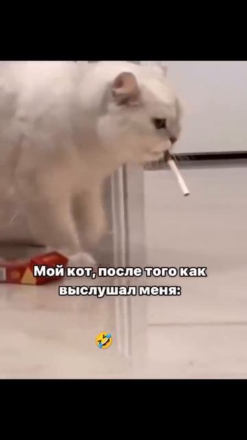 Жизненно 😅