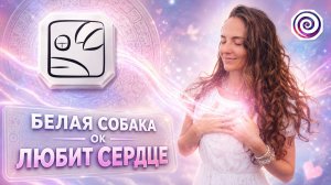 10. БЕЛАЯ СОБАКА | СОЛНЕЧНАЯ ПЕЧАТЬ КАЛЕНДАРЯ МАЙЯ