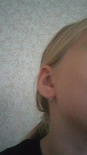 Моя собака