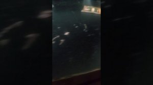 меня долго не было канал заброшен был вот вам видео