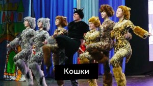 Кто сказал, что кошки не танцуют джаз?