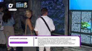 Прямая речь / Об особенностях фугу / 14.08.26