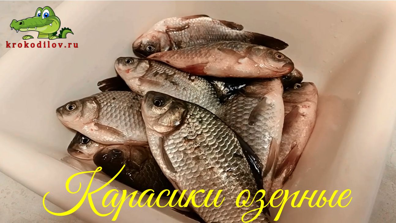 Карасики озерные.