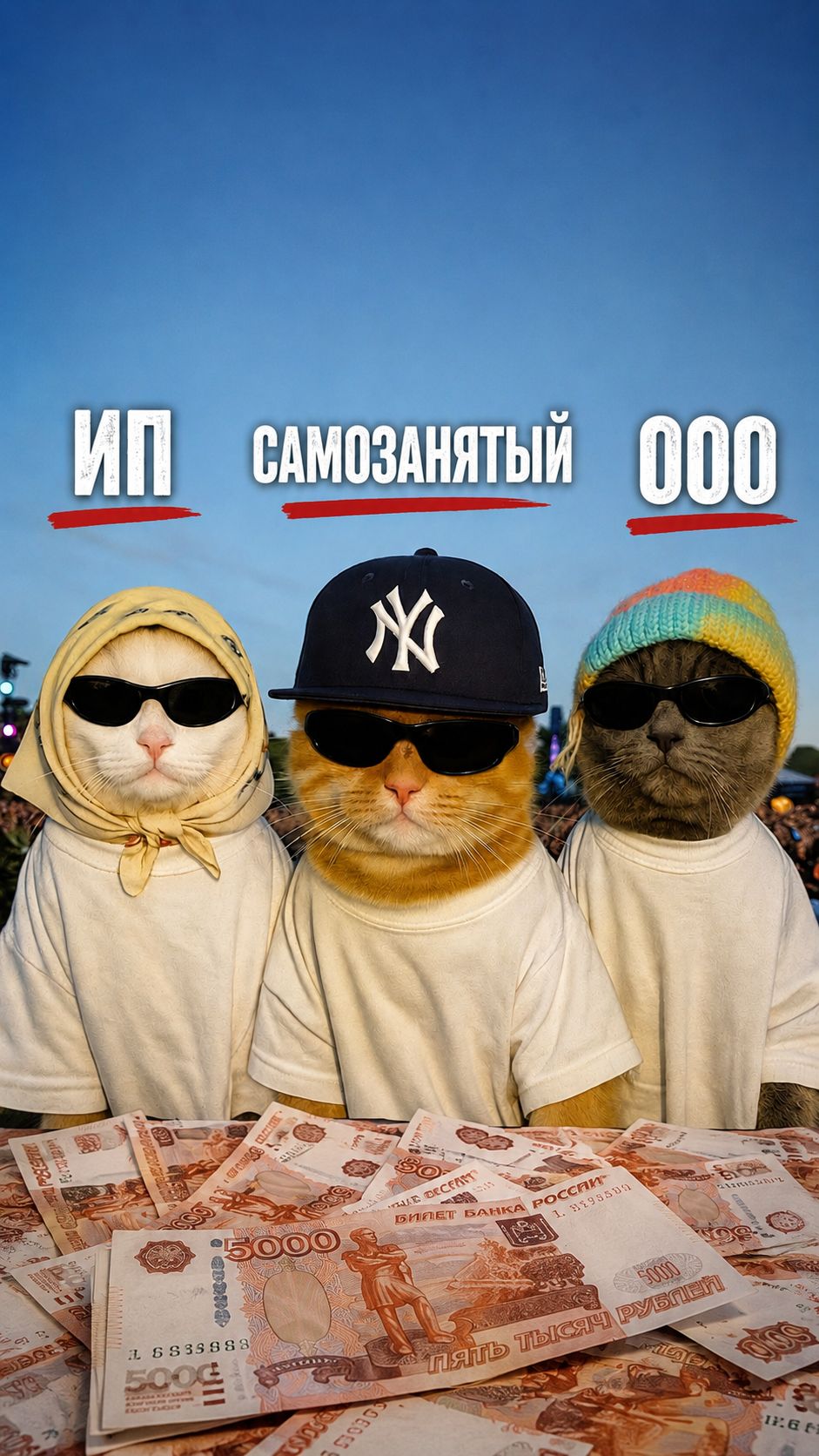 ИП, ООО ИЛИ САМОЗАНЯТОСТЬ — ЧТО ВЫГОДНЕЕ?