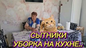 САМВЕЛ АДАМЯН, СЫТНИКИ, УБОРКА НА КУХНЕ..