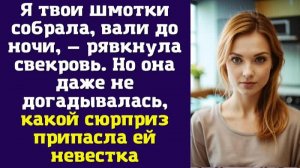 Я твои шмотки собрала, вали до ночи, — рявкнула свекровь. Но она даже не догадывалась, какой сюрприз