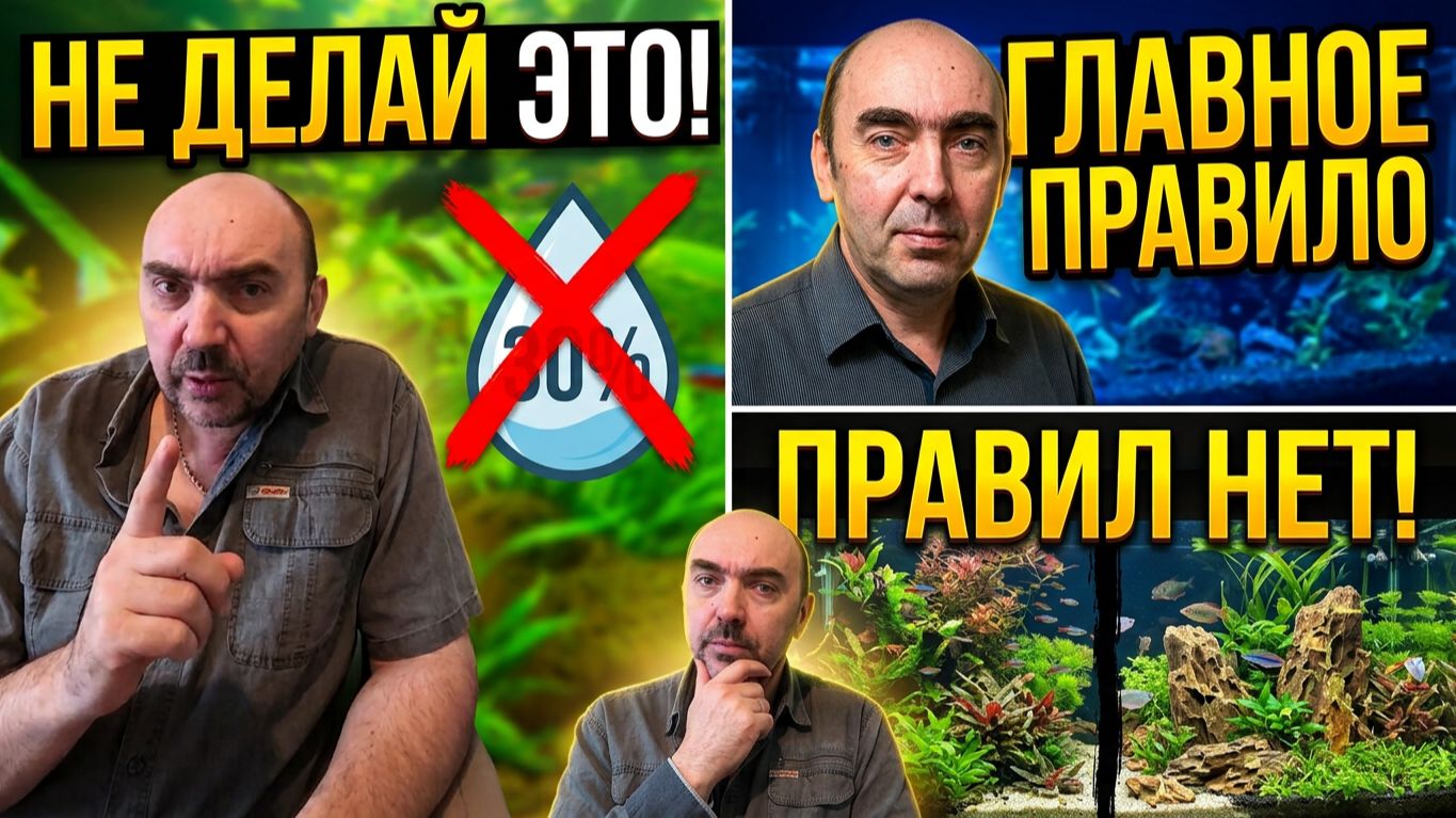 ГЛАВНОЕ ПРАВИЛО в Аквариумистике: Нет Никаких Правил