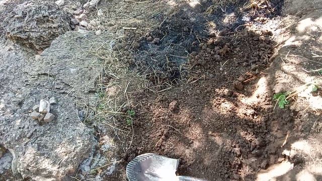 VID_20260814_161016
