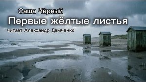 «Первые желтые листья». Саша Черный. Аудиокнига. Александр Демченко