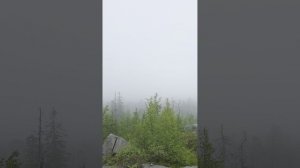 Санкт-Петербург. Карелия. Pietari. Karjala