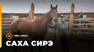 «Саха сирэ» информационнай биэрии. Атырдьах ыйын 14 күнэ 18.00