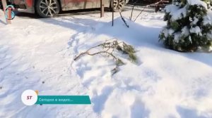 Zoochosis ПАНДА в нашем дворе ! 1 серия