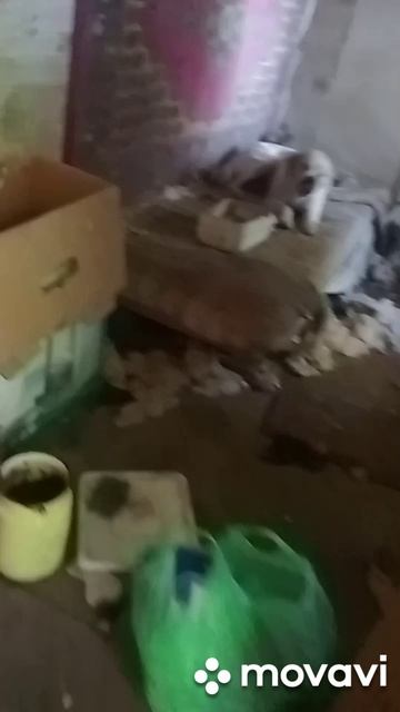 ДОЛГОЖДАННАЯ ВСТРЕЧА 
❤❤❤... НАША УЛЫБАКА