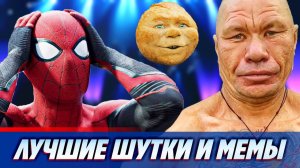 Шутки и мемы про Колобка, подвинувшего Человека-паука ★ Новости Шоу-Бизнеса