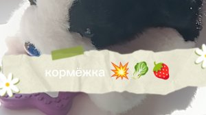 КОРМЁЖКА МАРСИКА/ попробовала сделать видео в кап кате!!!/ без озвучки 😭/ как вам? 🥬🍓💥