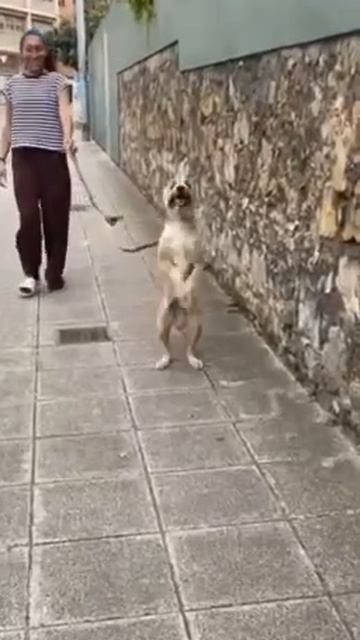 Ура! Выходные.