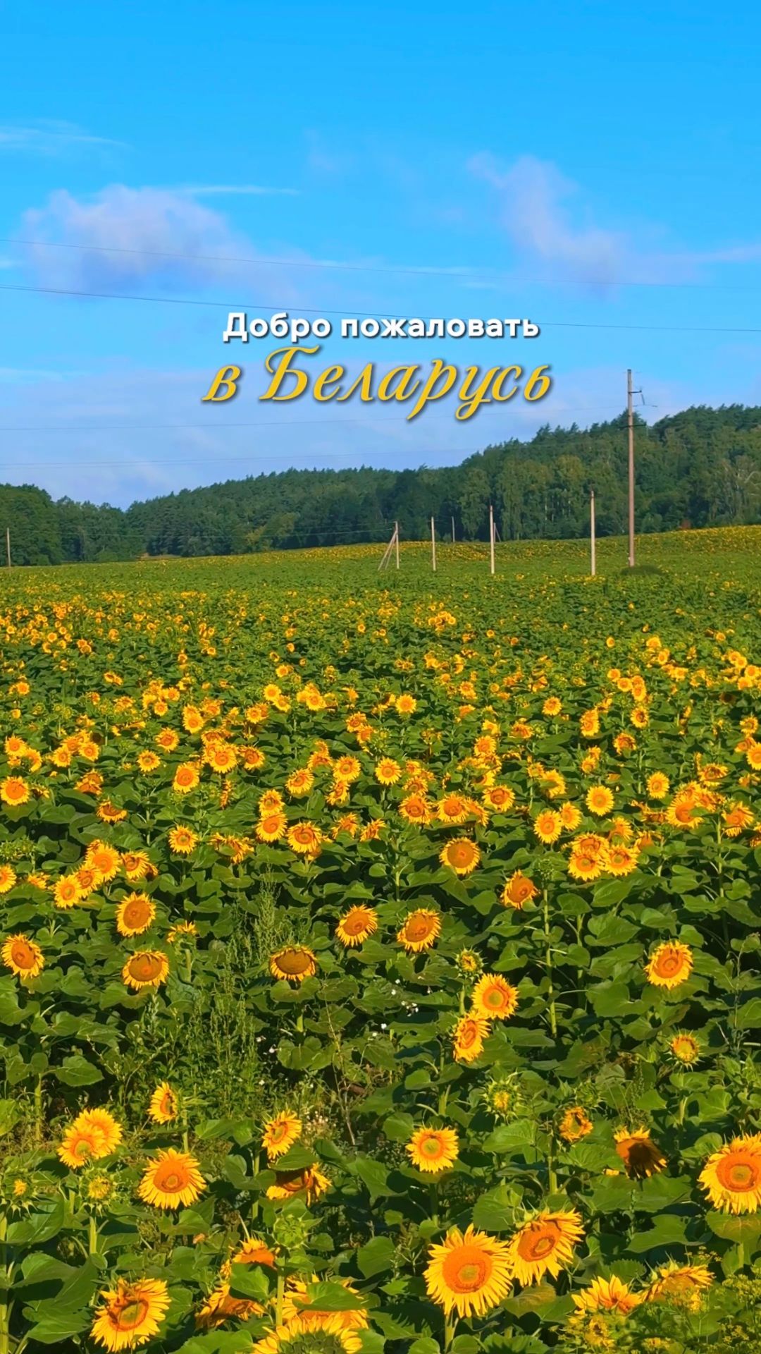 Нетипичная Беларусь 