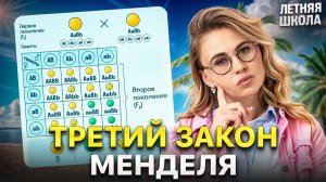 3 закон Менделя | Летняя школа по биологии | ЕГЭ 2027 | Ксения Напольская